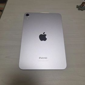 Apple iPad mini 7pro 本体