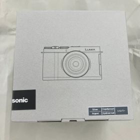 パナソニック Panasonic LUMIX DC-L10 シルバー SLV