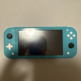 switchライト 本体