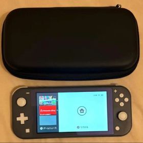 ( 美品)Nintendo Switch Lite 本体 グレー ケース付き