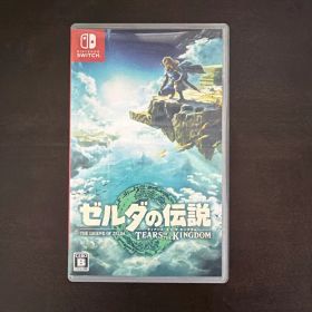 ゼルダの伝説 ティアーズ オブ ザ キングダム Switch
