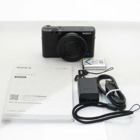 SONY ソニー デジタルカメラ DSC-RX100M6