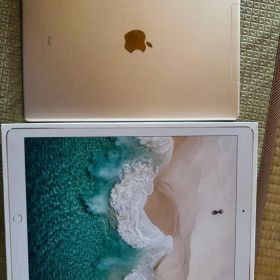 Apple iPad pro 12.9代2世 セルラー 本体 ゴールドジャンク