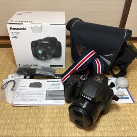 Panasonic LUMIX DC-FZ85 4K 光学60倍 付属品多数