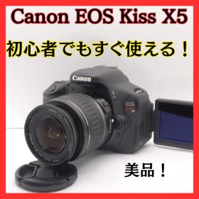 Canon EOS Kiss X5 レンズセット 美品 ショット4474回！