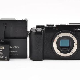 ★極上品★ 《シャッター数 2433回》Panasonic パナソニック LUMIX DMC-GX8 ミラーレス一眼 #K1138
