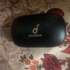 Anker Soundcore Life P2 ワイヤレスイヤホン 本体