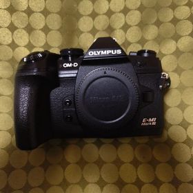 早い者勝ち★状態◎ e-m1 mark iii 本体のみ