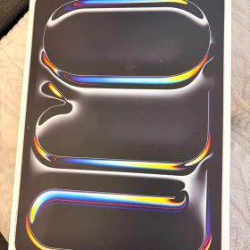 【極美品】iPad Pro 11インチ 256GB Wi-Fi (AC+2年付)