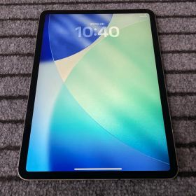 21 iPad Pro 11インチ 1世代 256GB SIMフリー