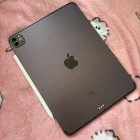 Apple iPad Pro 本体 11 inch