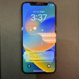 Apple iPhone X 本体