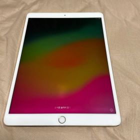 Apple iPad Pro 10.5 インチ (第１世代)