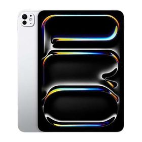 iPad Pro 11インチ M4[256GB] セルラー docomo シルバー【安心…