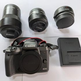 【動作確認済・美品】Canon EOS M5 レンズキット