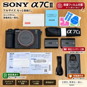 SONY α7CⅡ ボディ ILCE-7CM2 バッテリー2個+充電器付属