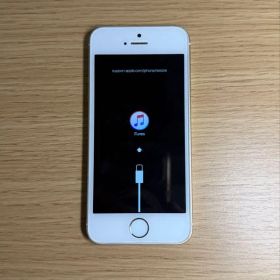 iPhone SE(第1世代) 新品 5,164円 中古 3,500円 | ネット最安値の価格
