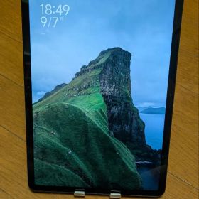 POCO PAD M1