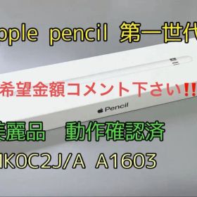Apple Pencil 第1世代 A1603 純正 動作確認済 箱付