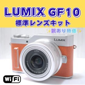 ✨訳あり特価✨LUMIX GF10 ミラーレス一眼 自撮り