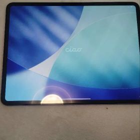 IPad pro 13インチM4 512GB