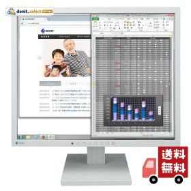 EIZO スクエアモニター FlexScan S1934-TGY 19型・チルトスタンド・セレーングレイ