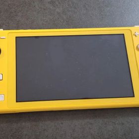 Nintendo Switch Lite 本体 液晶ノイズ有
