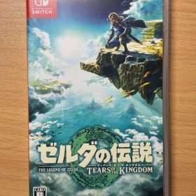 ゼルダの伝説 ティアーズ オブ ザ キングダム