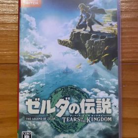 ゼルダの伝説 ティアーズ オブ ザ キングダム ソフト