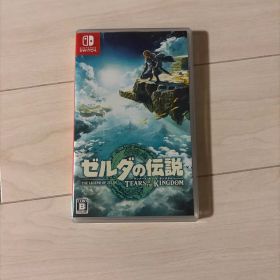Nintendo Switch ゼルダの伝説 ティアーズ オブ ザ キングダム