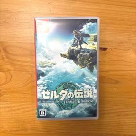 ゼルダの伝説 ティアーズ オブ ザ キングダム
