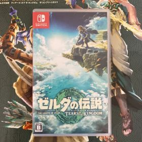 ゼルダの伝説 ティアーズ オブ ザ キングダム