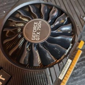 ★動作難あり★Palit GeForce GTX 750 Ti GPU