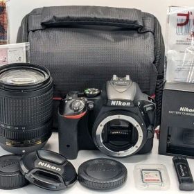 Nikon D5500 ✨ 完動フルセット ニコン デジタル一眼