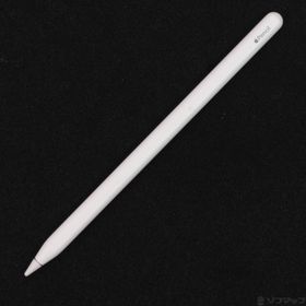 (中古)Apple Apple Pencil 第2世代 MU8F2J/A(198-ud)