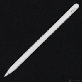 (中古)Apple Apple Pencil 第2世代 MU8F2J/A(348-ud)