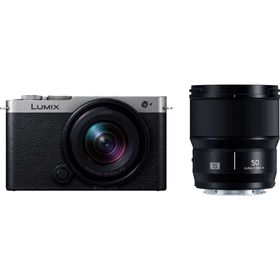 パナソニック フルサイズミラーレス一眼カメラ「LUMIX DC-S9」ダブルレンズキット（ダークシルバー） Panasonic DC-S9W-S返品種別A