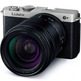 【長期5年保証付】パナソニック Panasonic LUMIX DC-S9H-S 高倍率ズームレンズキット(ダークシルバー) フル