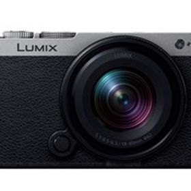 ★Panasonic / パナソニック LUMIX DC-S9N-S 広角ズームレンズキット [ダークシルバー]