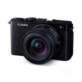 【長期5年保証付】パナソニック(Panasonic) LUMIX S9 DC-S9N-K ジェットブラック デジタル一眼カメラ 広角ズームレンズキット