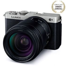 Panasonic パナソニック LUMIX S9 高倍率ズームレンズキット ダークシルバー(DC-S9H-S)【JAN:4549980809549】