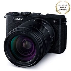 Panasonic パナソニック LUMIX S9 高倍率ズームレンズキット ジェットブラック(DC-S9H-K)【JAN:4549980809532】