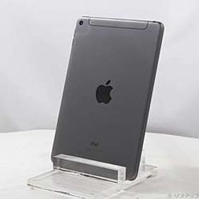 iPad mini 第5世代 64GB スペースグレイ MUX52J／A SoftBankロック解除SIMフリー ［7.9インチ液晶／A12-Bionic］