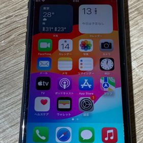 3379 iPhone SE(第二世代) 64GB ブラック 動作確認済み【ネ】