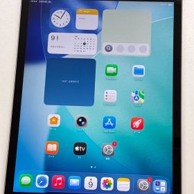 【湾曲あり】Apple iPad 第9世代 64GB Wi-Fi+Cellular MK493J/A 動作品