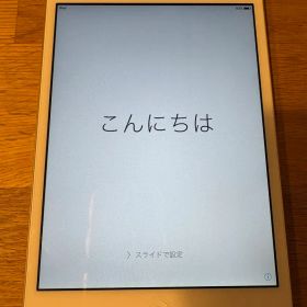 【初期化済】iPad mini 第1世代 Wi-Fiモデル 32GB
