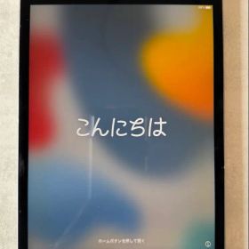 iPad mini 第5世代 256GB
