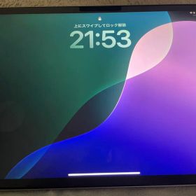 Apple iPad Pro 11インチ 第4世代 本体