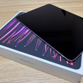 Apple 11インチ iPad Pro(第4世代)本体