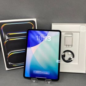 超美品 SIMフリー iPad Pro M5 11インチ 256GB